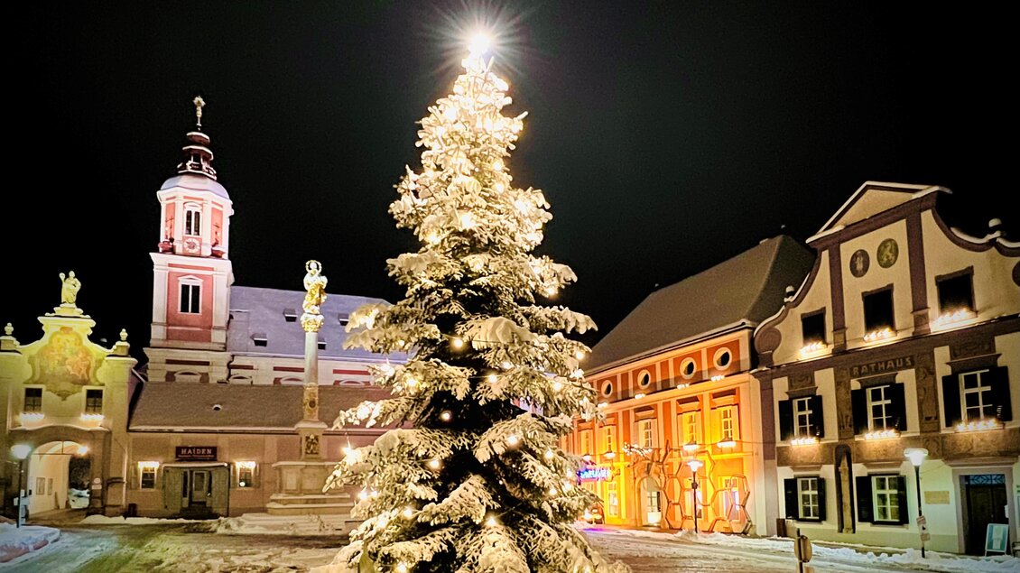 Ein festlich geschmückter Weihnachtsbaum steht in einem Platz mit historischen Gebäuden. Der Himmel ist dunkelblau, und die Lichter sorgen für eine stimmungsvolle Atmosphäre. | © Dietmar Schirnhofer