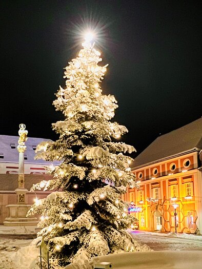 Ein festlich geschmückter Weihnachtsbaum steht in einem Platz mit historischen Gebäuden. Der Himmel ist dunkelblau, und die Lichter sorgen für eine stimmungsvolle Atmosphäre. | © Dietmar Schirnhofer