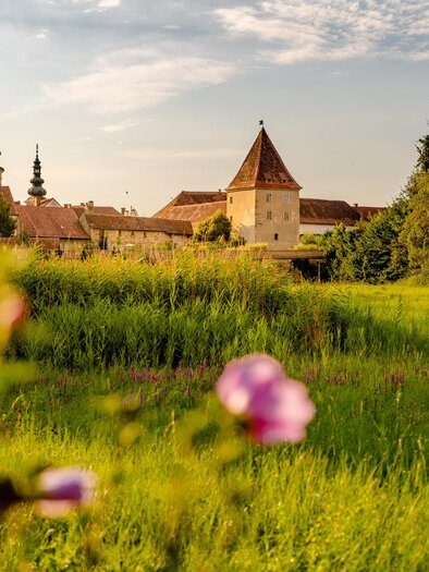 Eine grüne Wiese mit bunten Blumen im Vordergrund und einer Burg im Hintergrund. Der Himmel ist blau mit einigen Wolken. | © Wolfgang Spekner