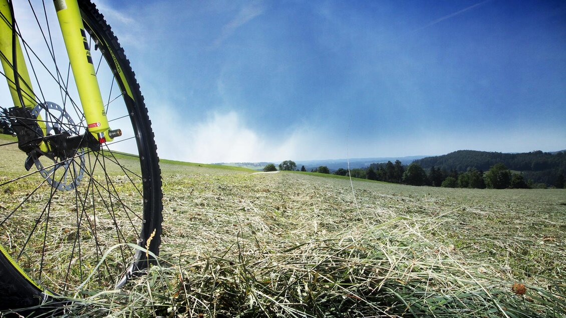 Ein Fahrradreifen steht auf einer grünen, frisch gemähten Wiese. Im Hintergrund sind sanfte Hügel und ein klarer blauer Himmel zu sehen. | © Reschco