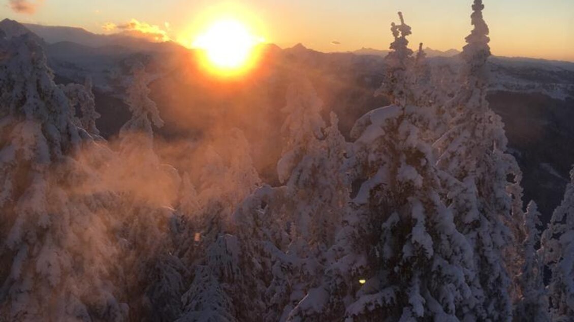 Ein Sonnenaufgang über schneebedeckten Tannen. Die Berglandschaft ist von goldenem Licht erleuchtet. | © Almbar