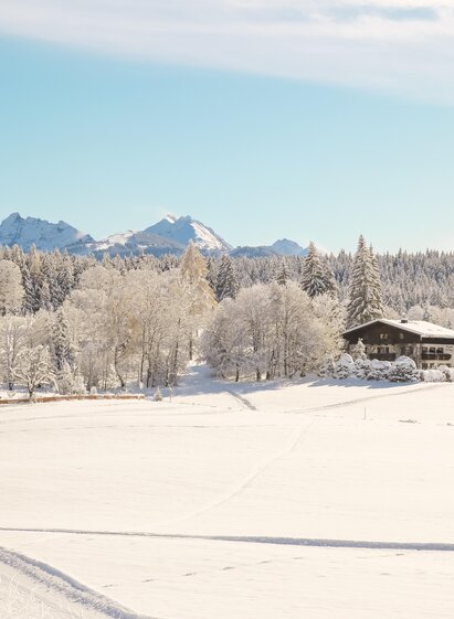 Verschneite Landschaft | © Loretta Kvitek