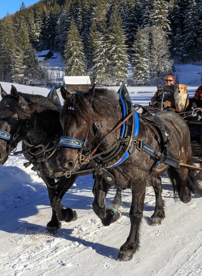 Pferdeschlittenfahrt Angererhof | Martin Huber | © Martin Huber