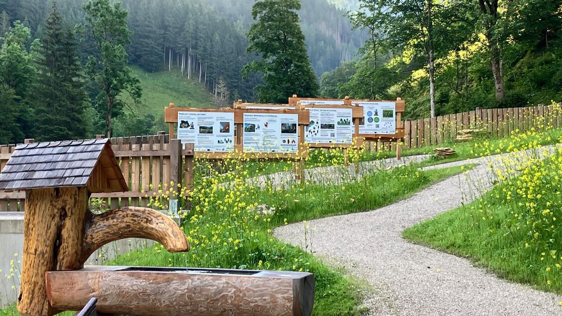 Ein schöner Wanderweg mit Holzskulpturen und Informationsschildern in einer grünen, bewaldeten Umgebung. Die Sonne scheint durch die Bäume und schafft eine einladende Atmosphäre. | © Nadine Schrempf