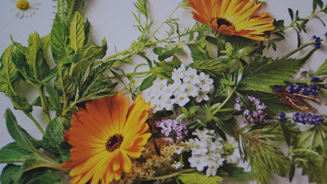 Ein arrangement von bunten Blumen und frischem Grün. Die leuchtend gelben und weißen Blumen heben sich schön von den Blättern ab. | © Marianne Ritzinger 