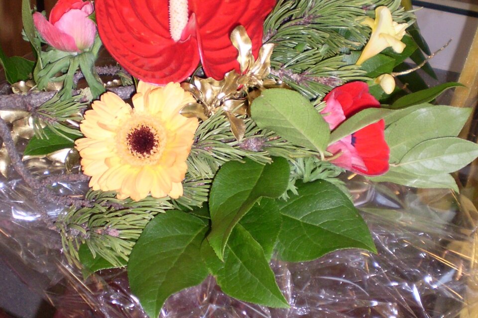 Florist Sissy - Impression #1 | © Blumen Sissy