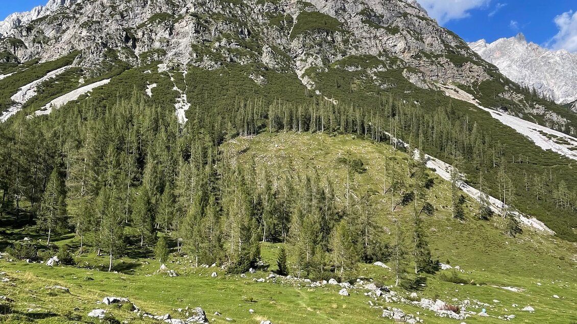 Eine beeindruckende Berglandschaft mit grünen Wiesen und imposanten Felsen. Der blaue Himmel mit wenigen Wolken sorgt für eine schöne Kulisse. | © photo-austria.at/Hans-Peter Steiner