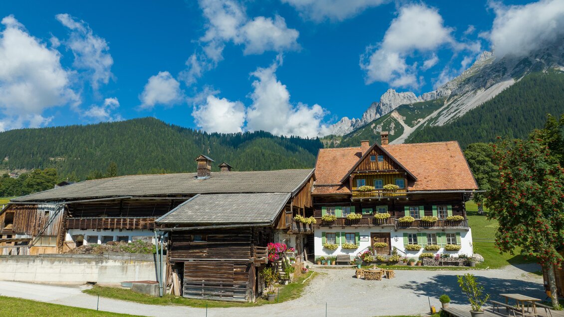 Ein traditionelles Alpenhaus mit Holzfassade und blühenden Blumen. Im Hintergrund sind majestätische Berge und ein blauer Himmel mit weißen Wolken zu sehen.