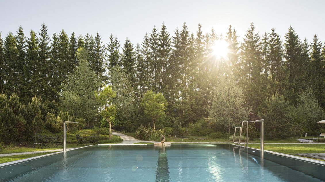 Ein ruhiger Pool umgeben von grünen Bäumen und Sträuchern. Die Sonne scheint sanft über die Landschaft. | © Falkensteiner Hotel Schladming/ Fotograf Walter Luttenberger