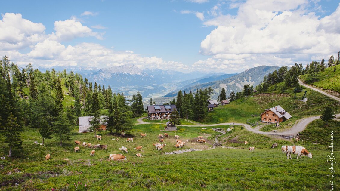 Eine malerische Berglandschaft mit grünen Wiesen und Kühen. Im Hintergrund sind einige Hütten und hohe Berge unter einem blauen Himmel zu sehen. | © Lukas Bezila