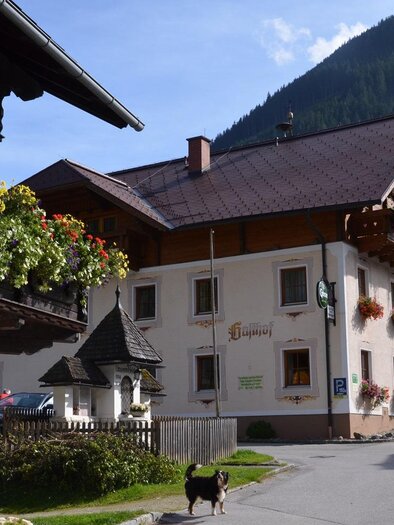 A picturesque village with traditional houses and colorful flowers. In the background, green mountains and a blue sky are visible. | © Christian Tritscher