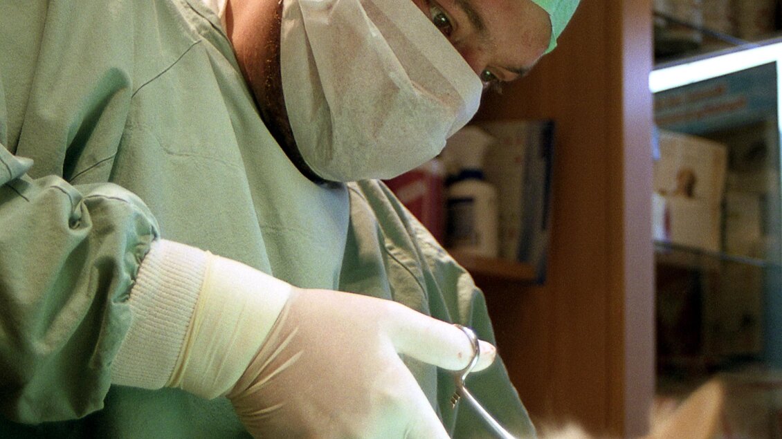 Ein Tierarzt führt eine Behandlung an einer Katze durch. Der Arzt trägt einen medizinischen Mundschutz und Handschuhe. | © Dr. Josef Frei