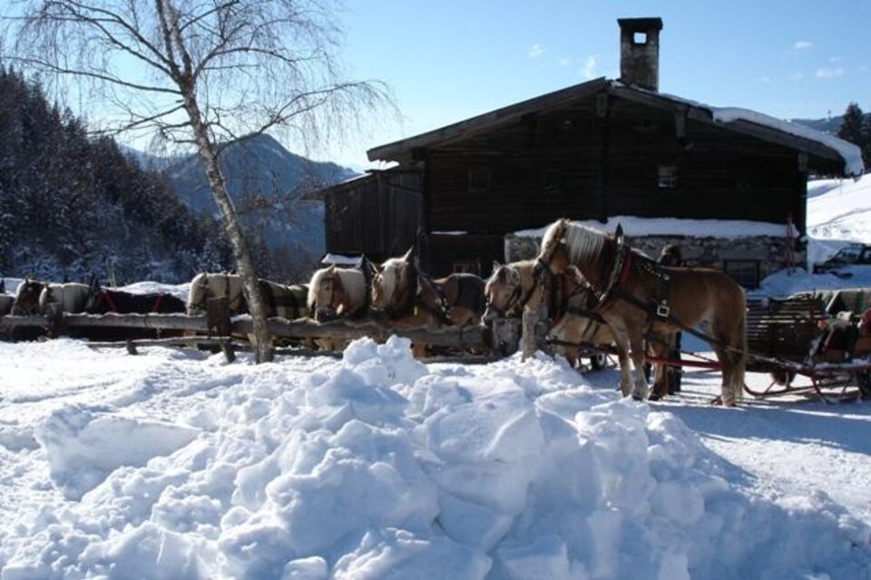 Halseralm - Impression #1 | © Halseralm