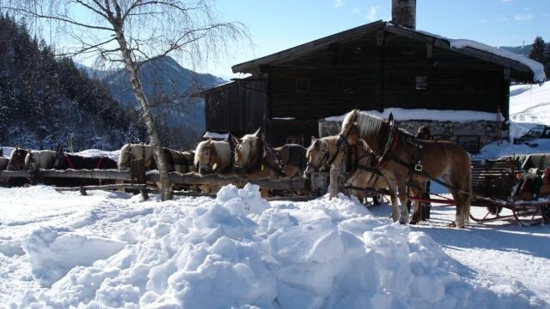 Eine verschneite Landschaft mit mehreren Pferden neben einem traditionellen Holzhaus. Im Hintergrund sieht man Berge und einen klaren blauen Himmel. | © Halseralm