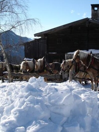 Eine verschneite Landschaft mit mehreren Pferden neben einem traditionellen Holzhaus. Im Hintergrund sieht man Berge und einen klaren blauen Himmel. | © Halseralm