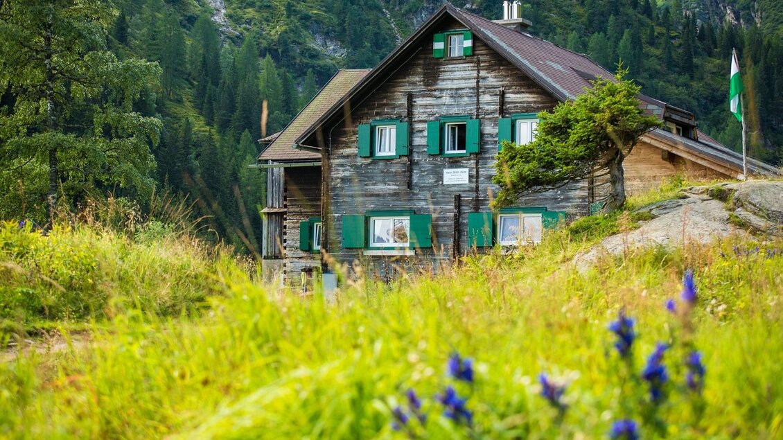 Ein rustikales Holzhaus umgeben von grünen Wiesen und bunten Blumen. Im Hintergrund sind hohe Berge und Wälder sichtbar. | © TVB Haus-Aich-Gössenberg@René Eduard Perhab