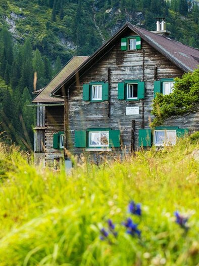 A rustic wooden house surrounded by green meadows and colorful flowers. In the background, high mountains and forests are visible. | © TVB Haus-Aich-Gössenberg@René Eduard Perhab