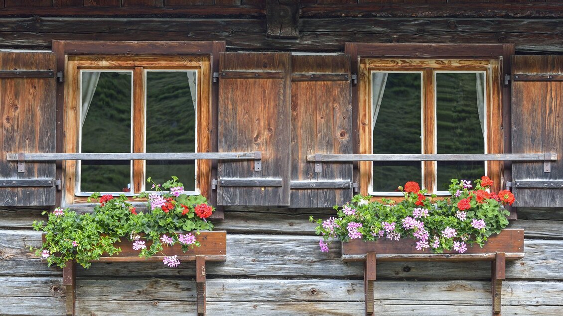 Zwei Holzfenster mit Blumenkästen voller bunter Blumen. Die Fenster sind von einer rustikalen Holzverkleidung umgeben. | © Herfried Marek