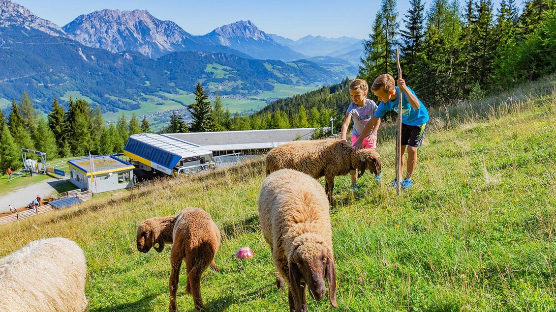 Zwei Kinder spielen auf einer Wiese mit Schafen in den Bergen. Im Hintergrund sind majestätische Berge und eine Bergstation zu sehen.