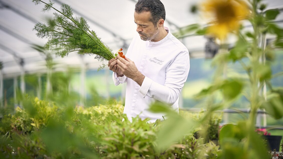 Ein Mann in einem weißen Kochoutfit steht in einem Gewächshaus und betrachtet sorgfältig frisches Gemüse. Um ihn herum wachsen verschiedene Pflanzen in sattem Grün. | © Thomas Sattler