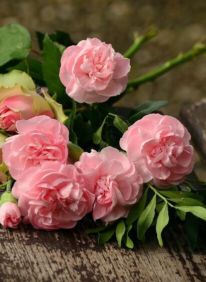 Ein schöner Blumenstrauß aus rosa Rosen liegt auf einer Holzbank. Die Blumen sind mit grünem Blattwerk umgeben. | © pixabay