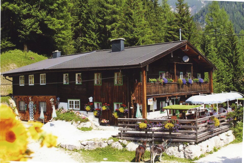 Fliegenpilz Restaurant - Impression #1 | © Fliegenpilz