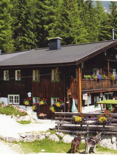 A cozy wooden house in the greenery, surrounded by trees. Outside, there is a terrace with flowers and seating. | © Fliegenpilz