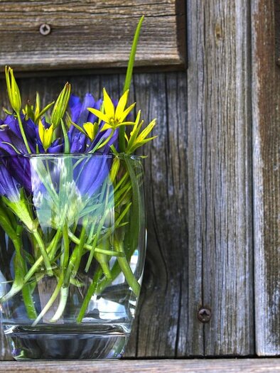 Ein Strauß bunter Blumen in einer Glasvase steht vor einer rustikalen Holzwand. Die Blumen sind lila und gelb, was einen schönen Farbakzent setzt. | © Symbolbild PixaBay / onkelglocke