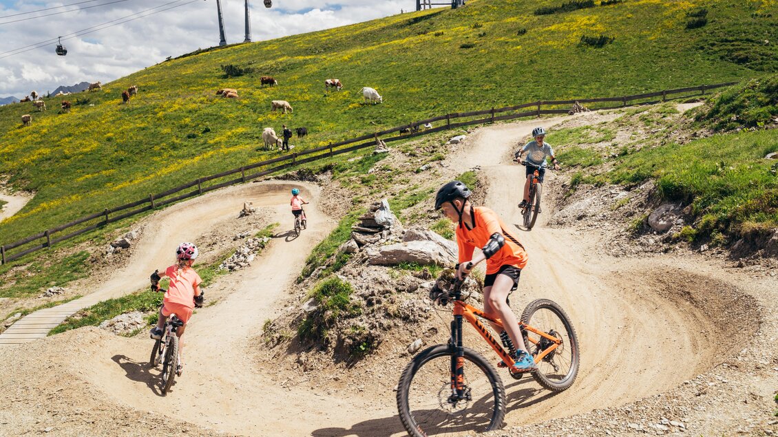 Ein schöner Mountainbike-Park mit begeisterten Fahrern auf einem kurvigen Trail. Im Hintergrund sind grüne Wiesen und Kühe zu sehen. | © Gerald Grünwald
