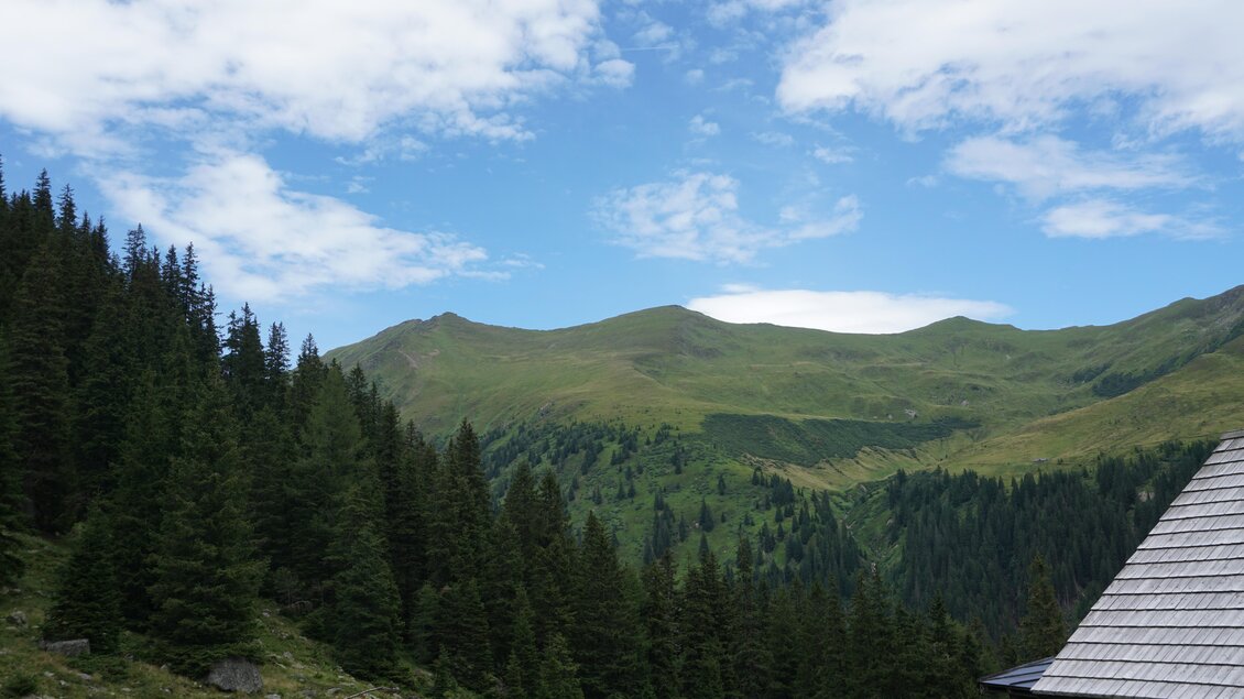 Eine malerische Berglandschaft mit grünen Hügeln und dichten Nadelbäumen. Der Himmel ist klar mit einigen Wolken. | © Naturpark Sölktäler