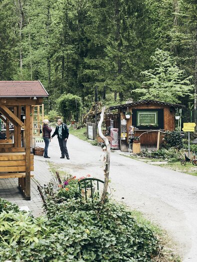 A picturesque forest path with wooden cabins and guests. Surrounded by green trees and an inviting atmosphere. | © Armin Walcher