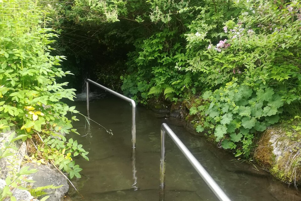 Kneipp water-treading basin - Impression #1 | © TVB Gröbminger Land