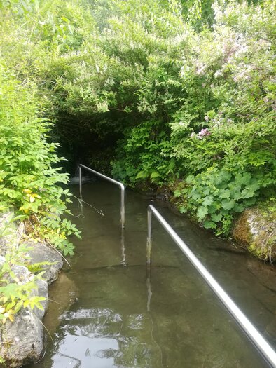 A quiet stream, surrounded by lush greenery and plants. Two metal pipes run along the water. | © TVB Gröbminger Land