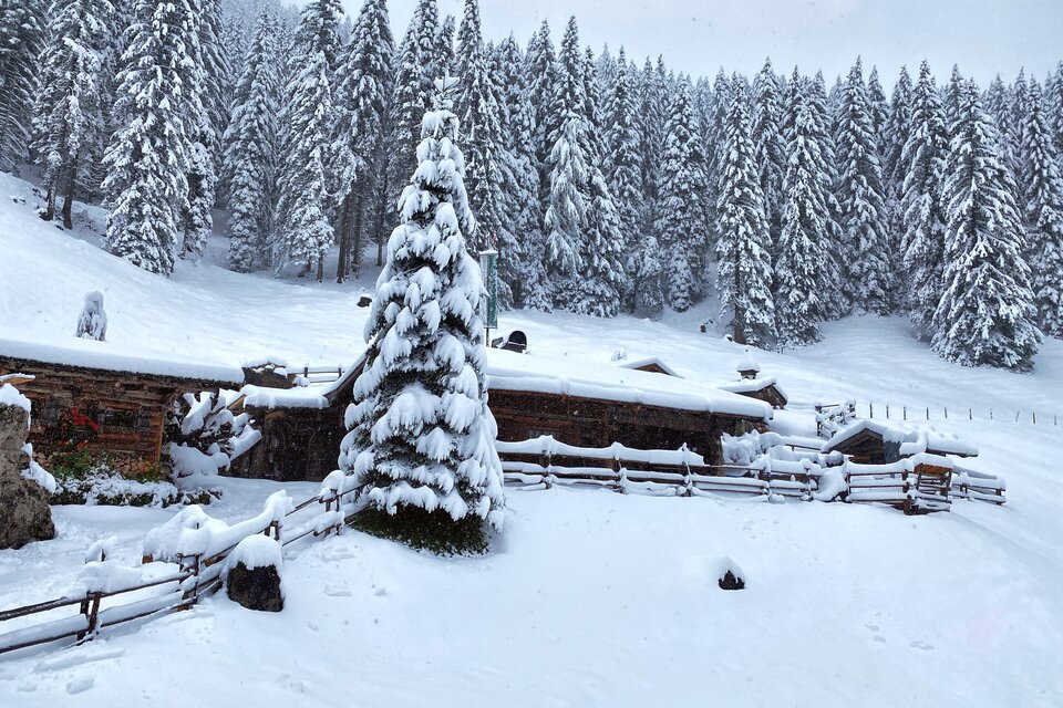 Lärchbodenalm - Impression #1 | © Lärchbodenalm