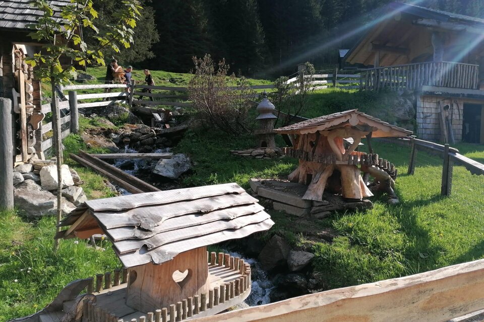 Mautneralm - Impression #1 | © Nicole Leitgab