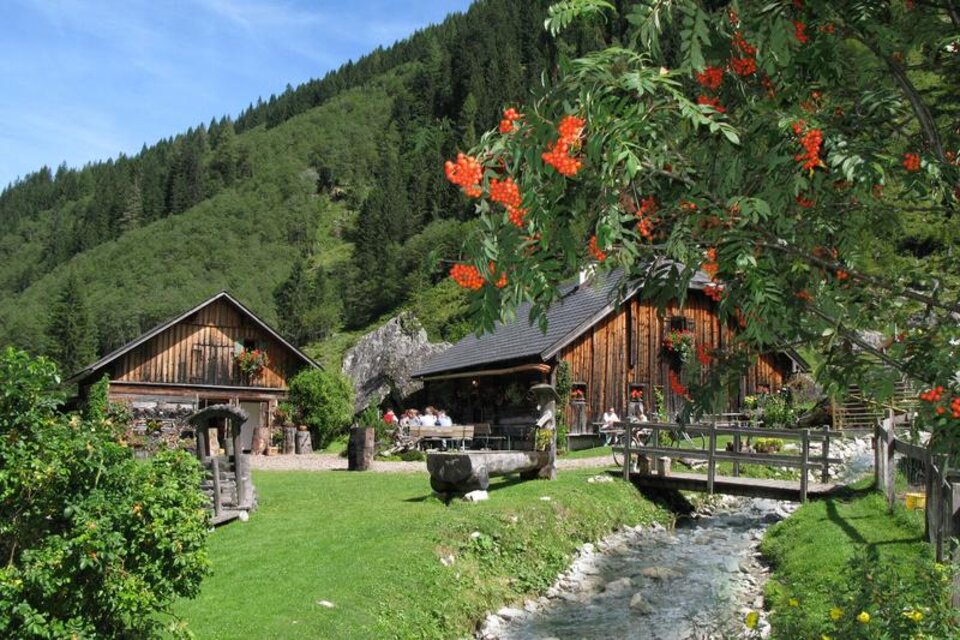 Moarhof Alm - Impression #1 | © Moarhof-Alm