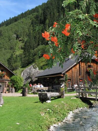 An idyllic farmhouse in nature, surrounded by green mountains. In the foreground, a small stream flows and there are blooming plants. | © Moarhof-Alm