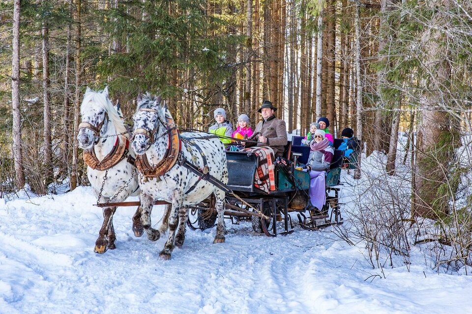 Horse-drawn sleigh rides at Pitzerhof - Impression #1 | © TVB Haus-Aich-Gössenberg@René Eduard Perhab