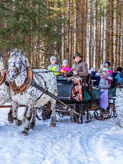 A horse-drawn sleigh ride through the snow with children in the sleigh. Surrounded by a picturesque winter landscape with trees. | © TVB Haus-Aich-Gössenberg@René Eduard Perhab