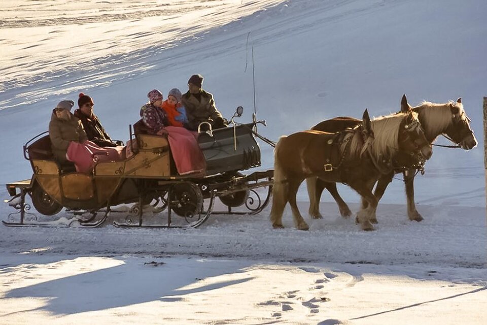 Pferdeschlittenfahrten Brandstätter - Impression #1 | © Reiterhof Brandstätter