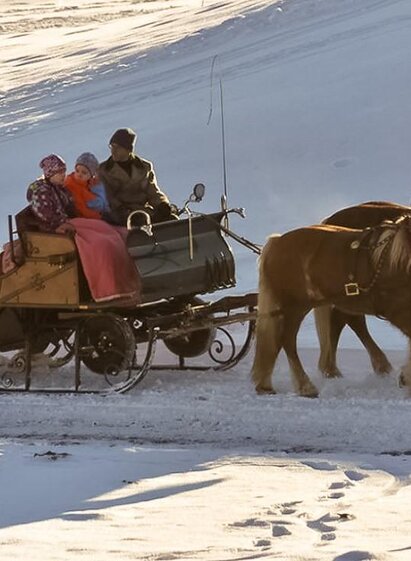 Pferdeschlittenfahrt im Schnee | User | © Reiterhof Brandstätter
