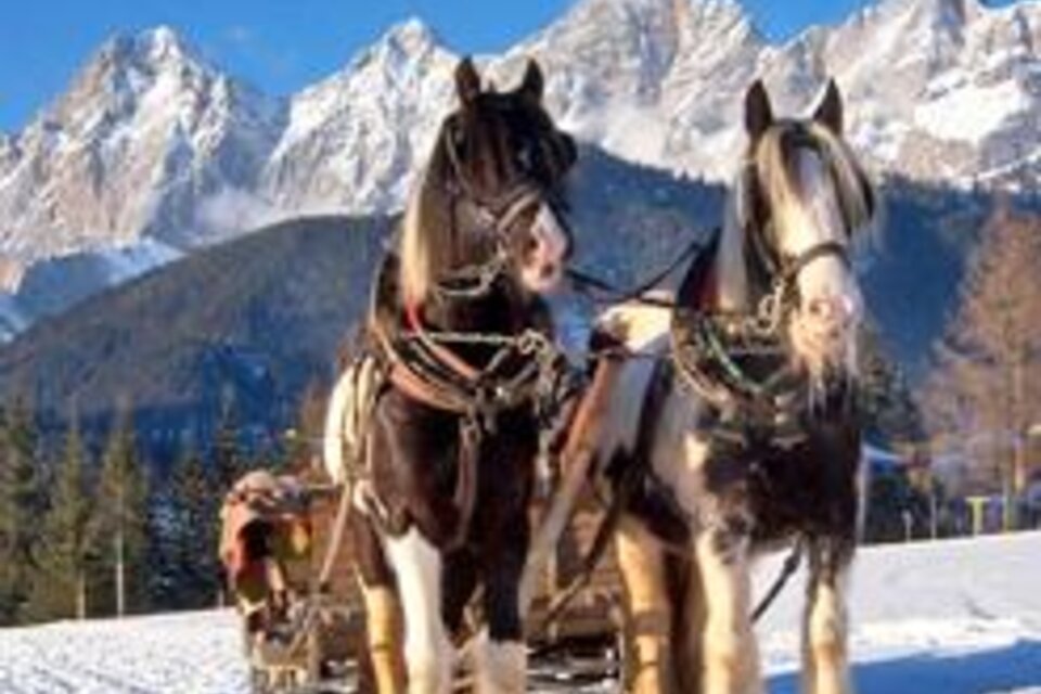 Pferdeschlittenfahrten Ortnerhof - Impression #1 | © Ortnerhof