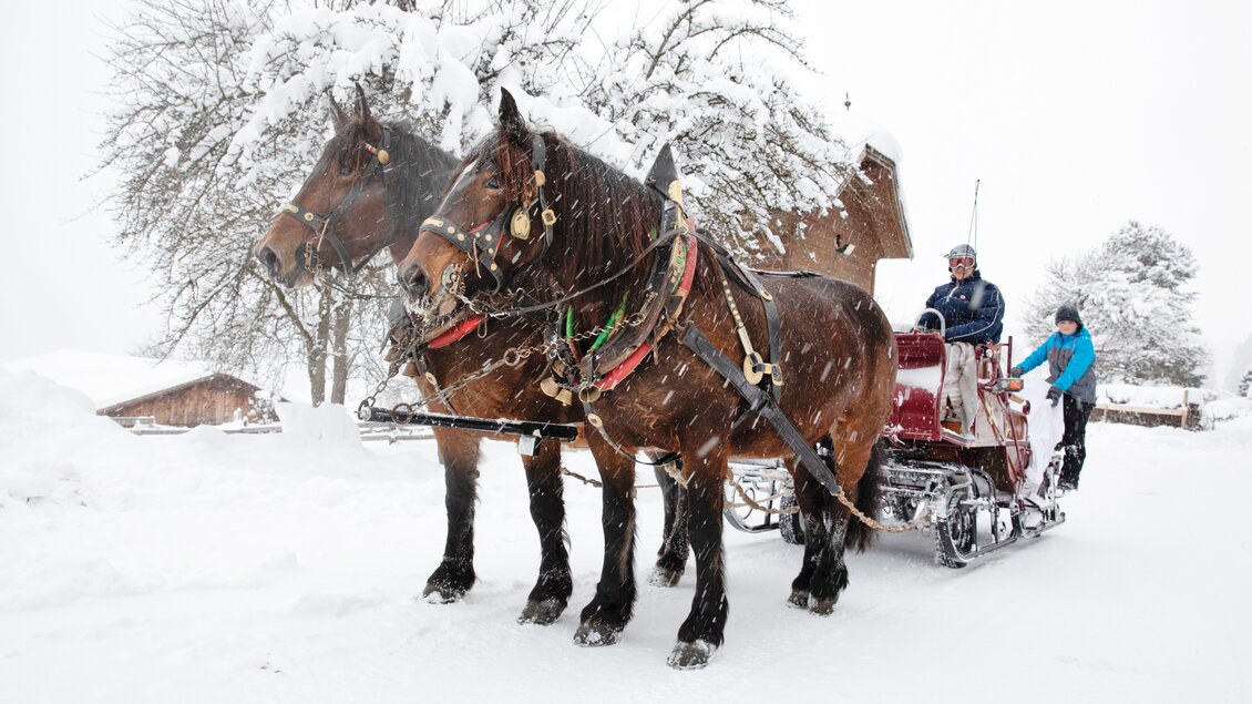 Zwei kräftige Pferde ziehen eine verschneite Schlittenfahrt durch eine winterliche Landschaft. Im Hintergrund sind schneebedeckte Bäume und Hütten zu sehen. | © Peterbauerhof