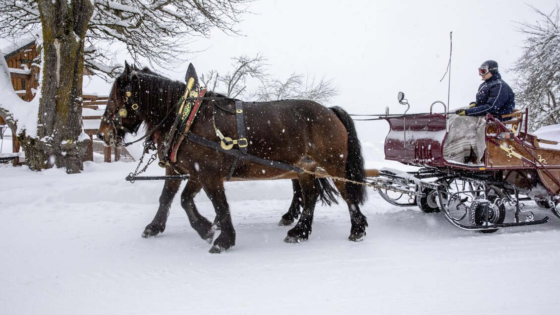 Eine Kutsche wird von einem Pferd durch den Schnee gezogen. Es schneit und die Umgebung ist winterlich und ruhig. | © Peterbauerhof
