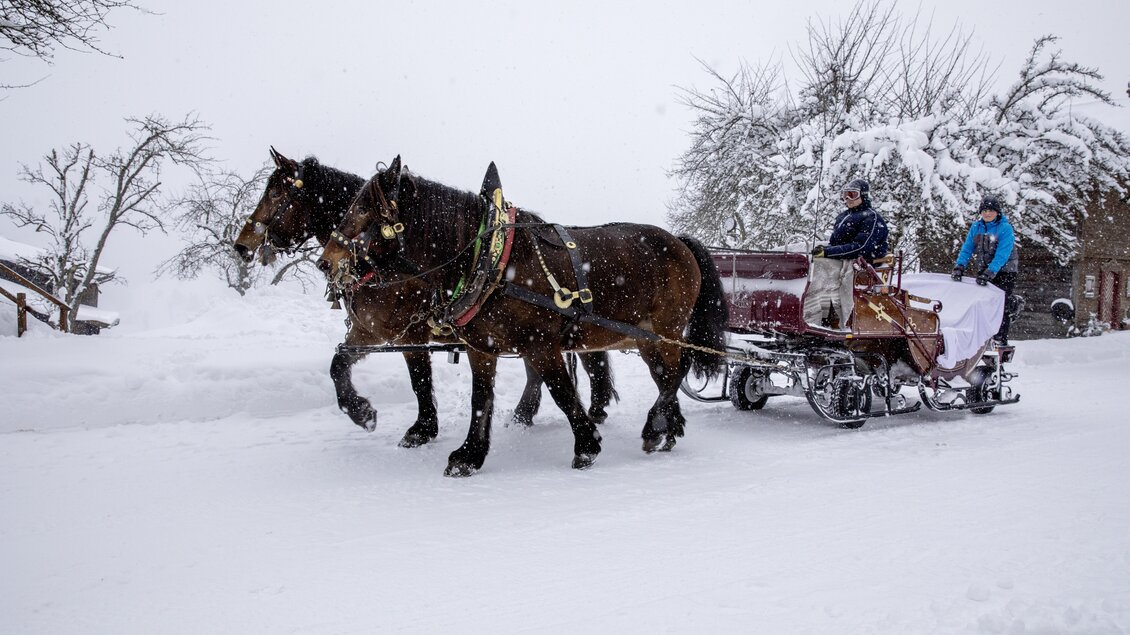 Eine verschneite Landschaft mit zwei Pferden, die eine Pferdeschlittenfahrt ziehen. Die Fahrgäste genießen die winterliche Umgebung. | © Peterbauerhof