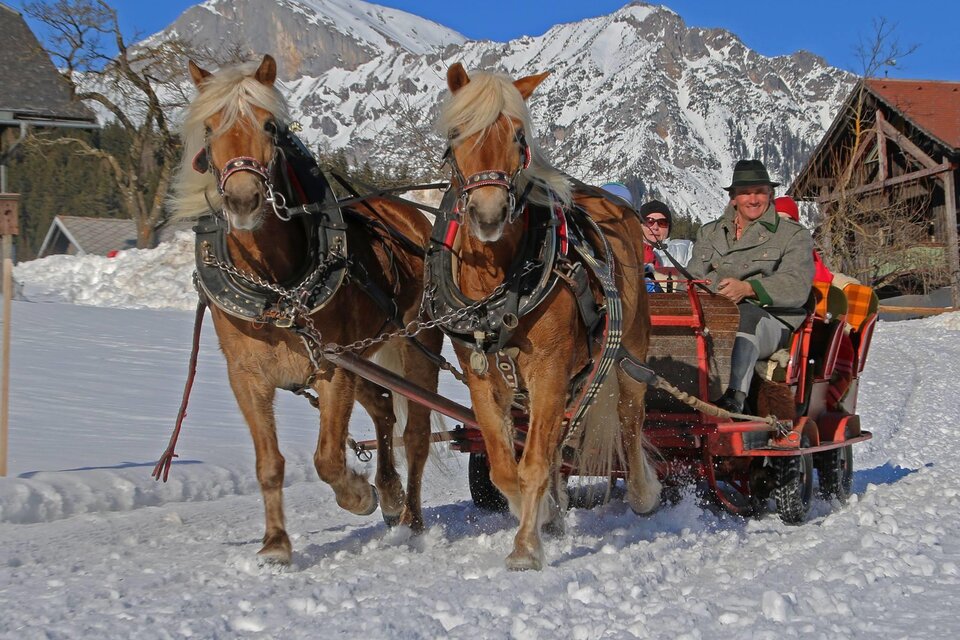 Horse Drawn Sleigh Rides Sporthof Austria - Impression #1 | © Sporthof Austria