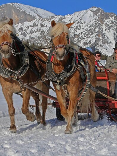 A carriage is pulled by two horses through a snowy landscape. In the background, snow-covered mountains and a clear blue sky can be seen. | © Sporthof Austria