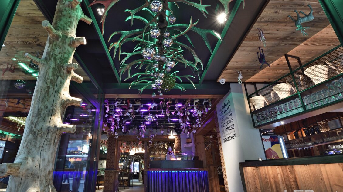 Barbereich mit Baum und Ästen neben der Tanzfläche | © ©www.lsd.co.at