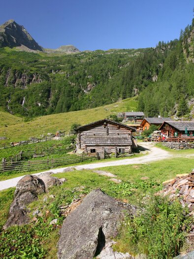 Eine malerische Alm in den Bergen mit Gebäude aus Holz und grünen Wiesen. Im Hintergrund erheben sich majestätische Berge und Bäume. | © Herbert Raffalt