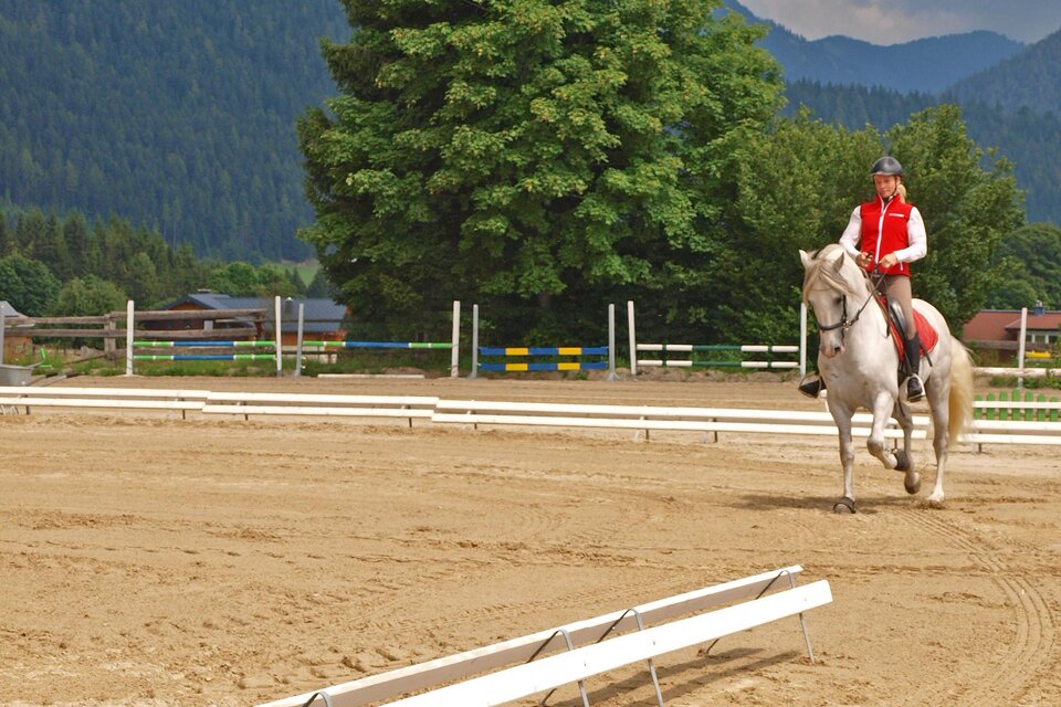 Reiterhof Brandstätter - Impression #1 | © Reiterhof Brandstätter